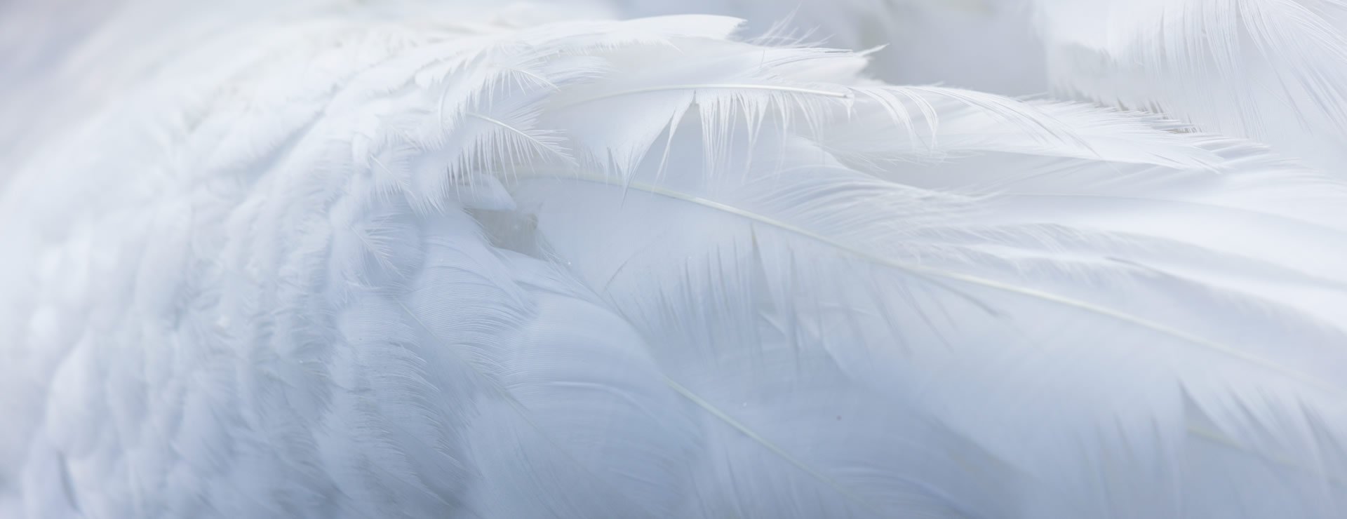 企業(yè)經(jīng)營(yíng)之本，力求言行一致。